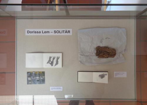 Dorissa Lem – Ausstellung SOLITÄR, Künstlerbücher 