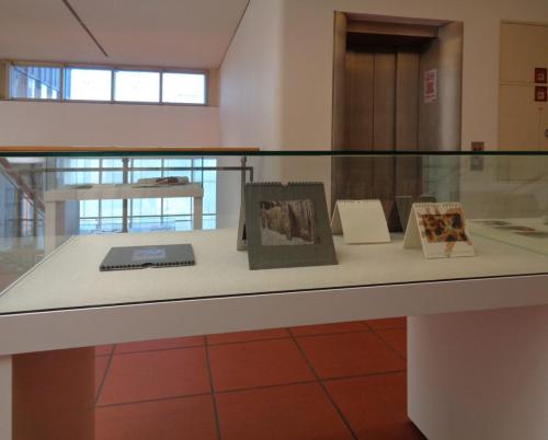 Dorissa Lem – Ausstellung SOLITÄR, Künstlerbücher 